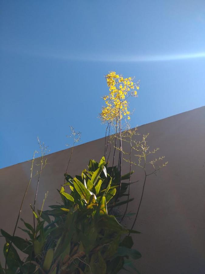 Nossa Casinha Atibaia - Linda Vista Pra Pedra Grande Villa Exterior photo